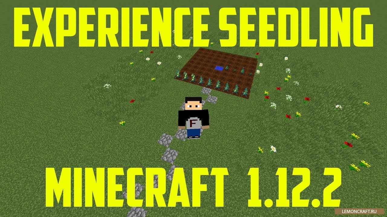 Мод на растения опыта Experience Seedling [1.12.2] [1.11.2] [1.8]