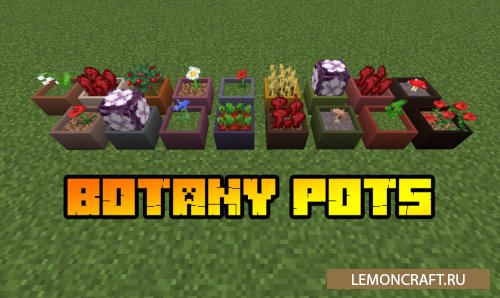 Мод на горшки для растений Botany Pots [1.16.5] [1.15.2] [1.14.4]